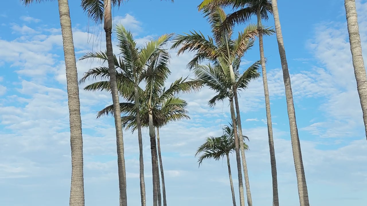 Naples travel moments filmed by ELM